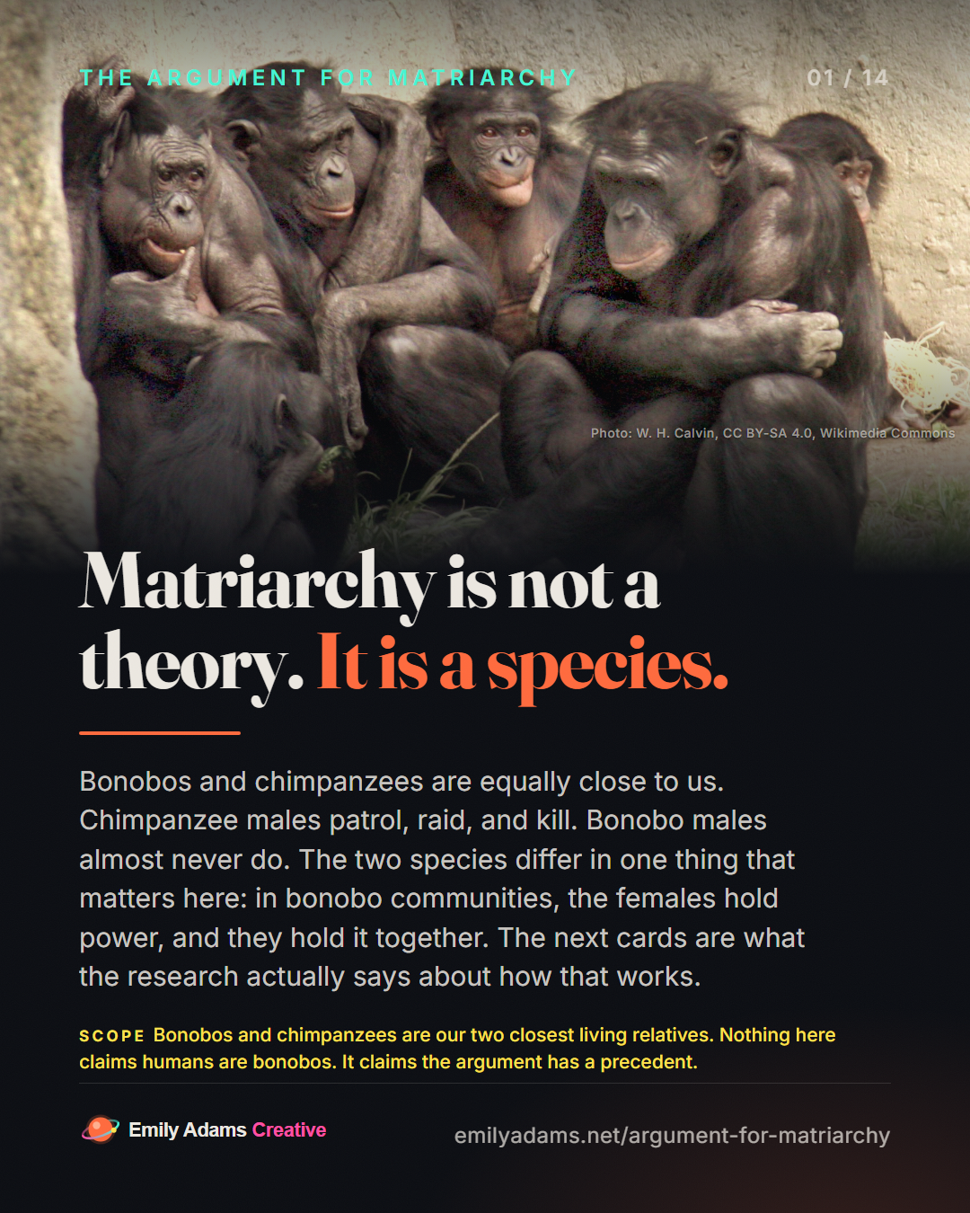 The Argument for Matriarchy