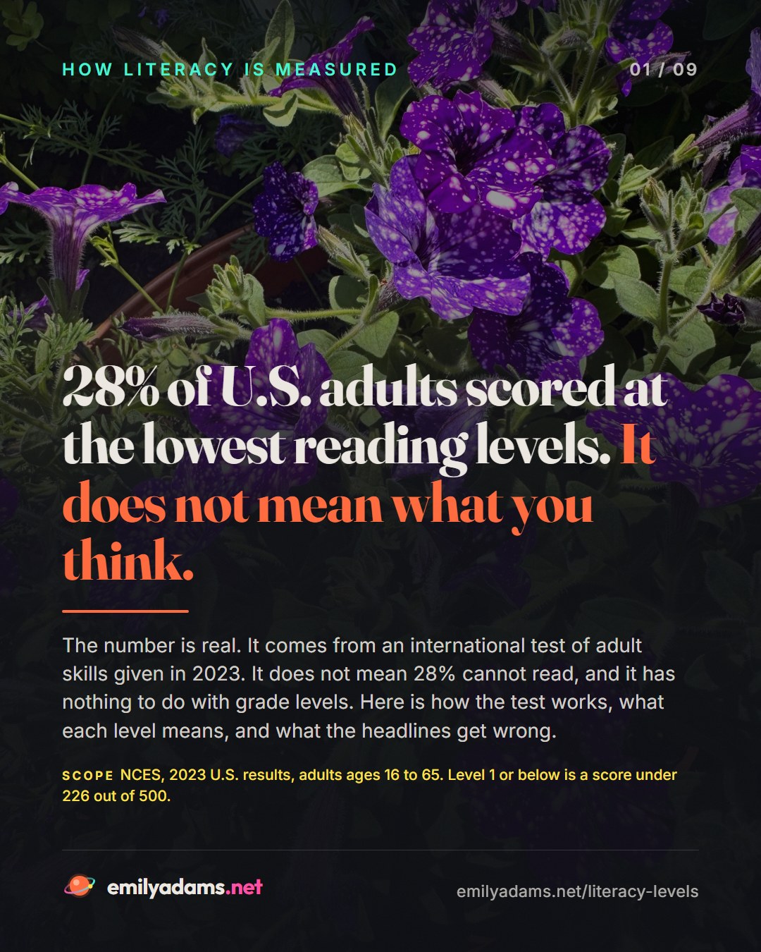 Part 3: How Literacy Is Measured