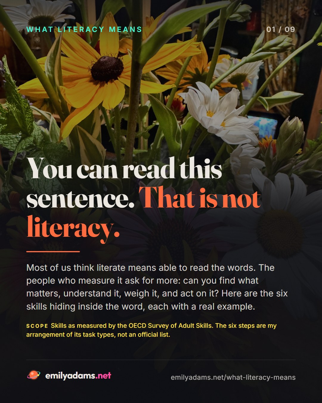 Part 2: What Literacy Means